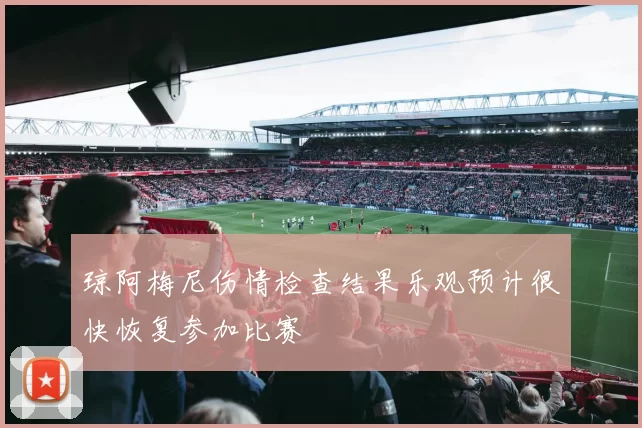 琼阿梅尼伤情检查结果乐观预计很快恢复参加比赛