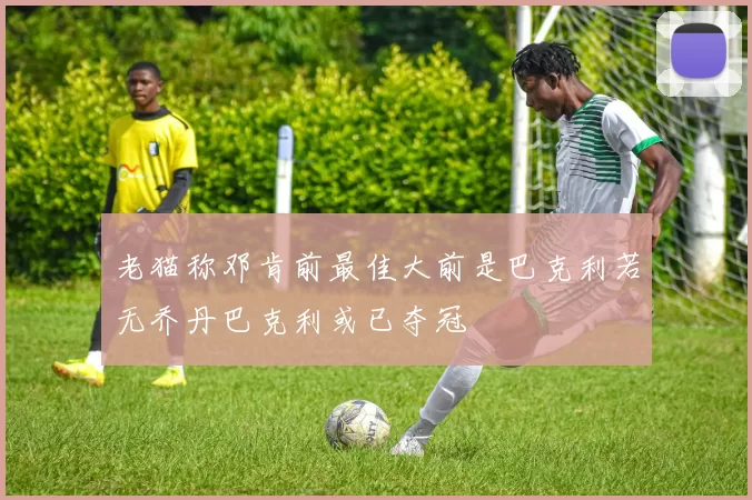 老猫称邓肯前最佳大前是巴克利若无乔丹巴克利或已夺冠